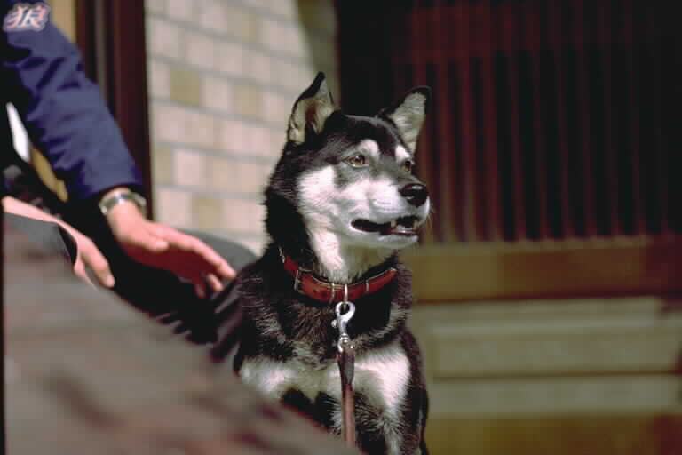 �Ƃ��Ƃ����R�������